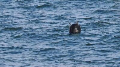 İğneada açıklarında imha edildi! Boğaz'da 2. Kâbus!