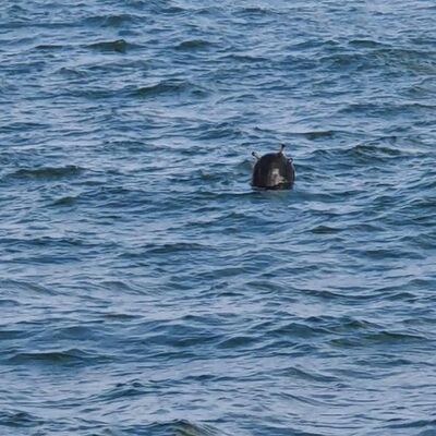 İğneada açıklarında imha edildi! Boğaz'da 2. Kâbus!