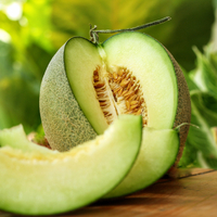 Kavun yemenin faydaları