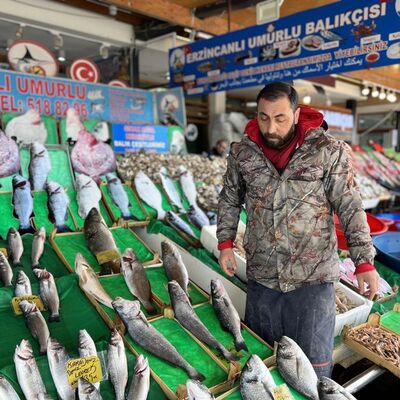 "Balıkçı avlanmaya korkuyor!" Mayın balığı vurdu!