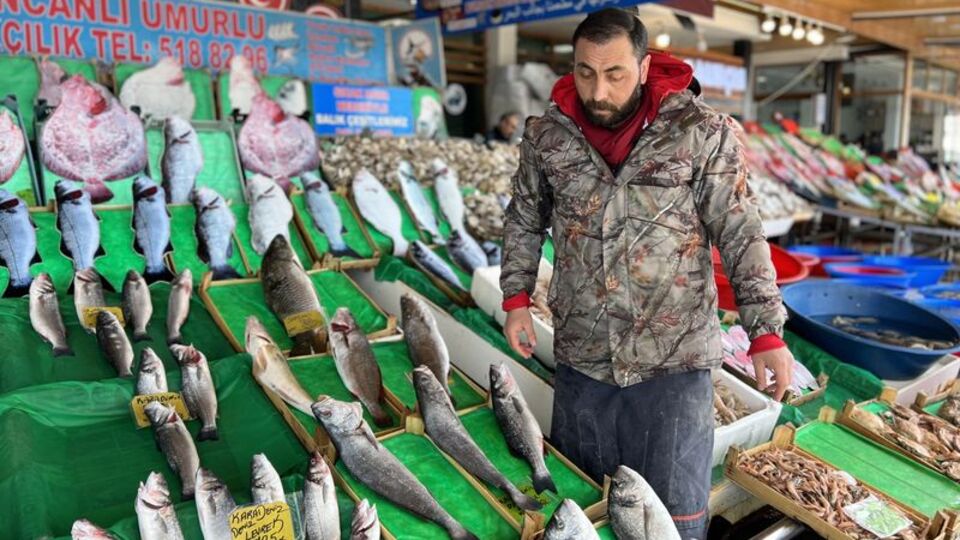 "Balıkçı avlanmaya korkuyor!" Mayın balığı vurdu!