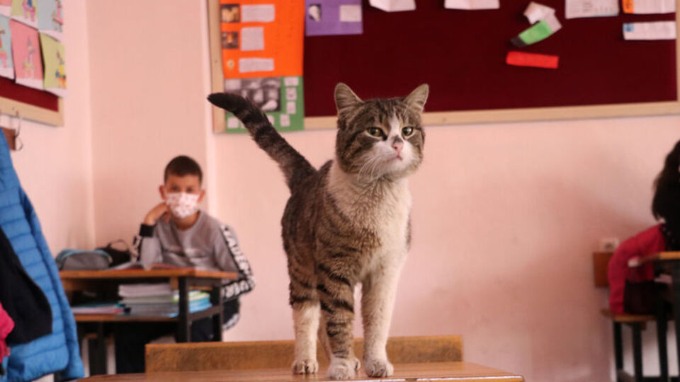 Okulun 161. öğrencisi oldu