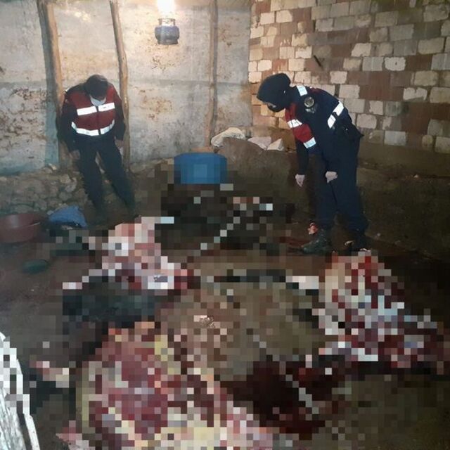 At ve eşek kesen 5 kişiye suçüstü!