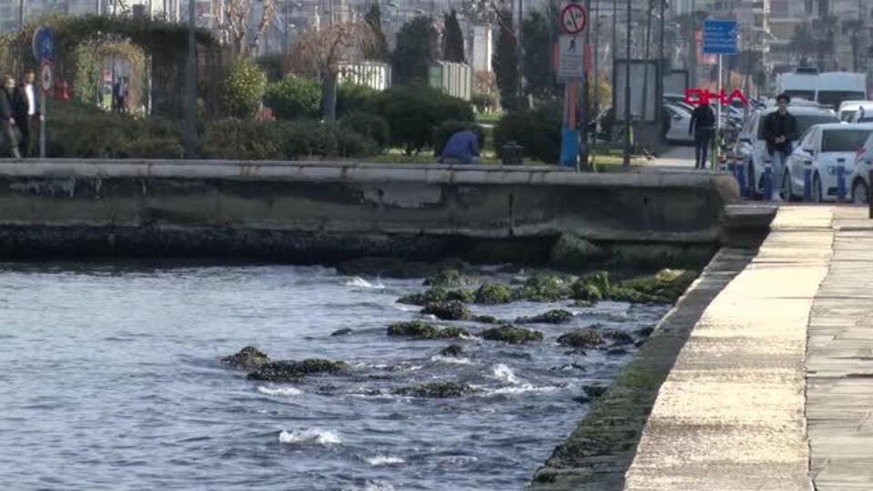 Deniz çekildi, iskele kapatıldı