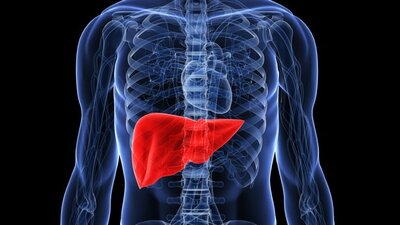 Dikkat! Yoğun tüketimi karaciğeri bitiriyor