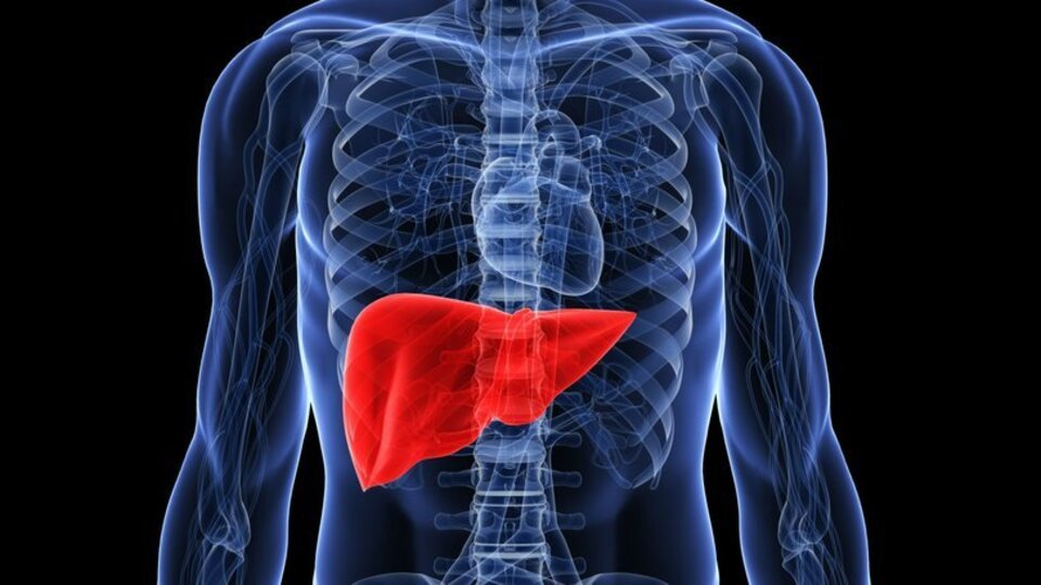 Dikkat! Yoğun tüketimi karaciğeri bitiriyor