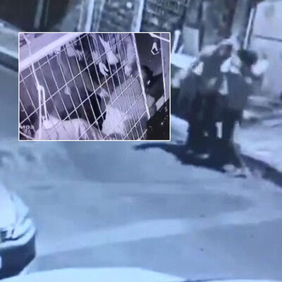 İstanbul'da vahşet! Döverek öldürdüler!