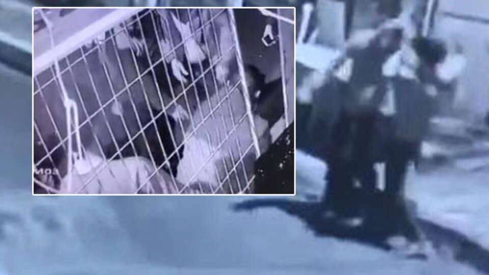 İstanbul'da vahşet! Döverek öldürdüler!