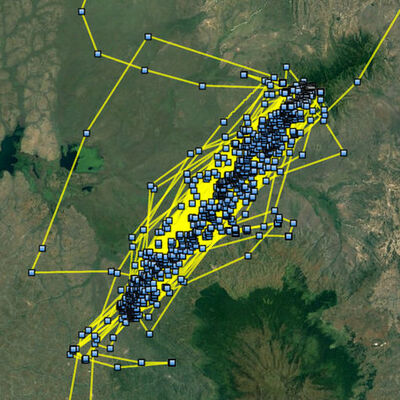 Uydudan takip edildi... 6 ayda 20 bin kilometre!