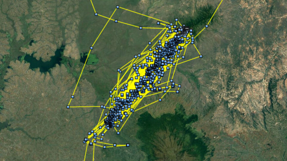 Uydudan takip edildi... 6 ayda 20 bin kilometre!