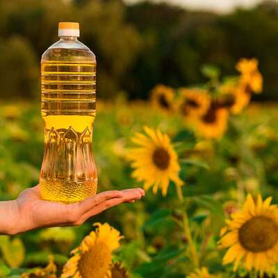 Rusya'dan ayçiçeği yağı ihracatına kota