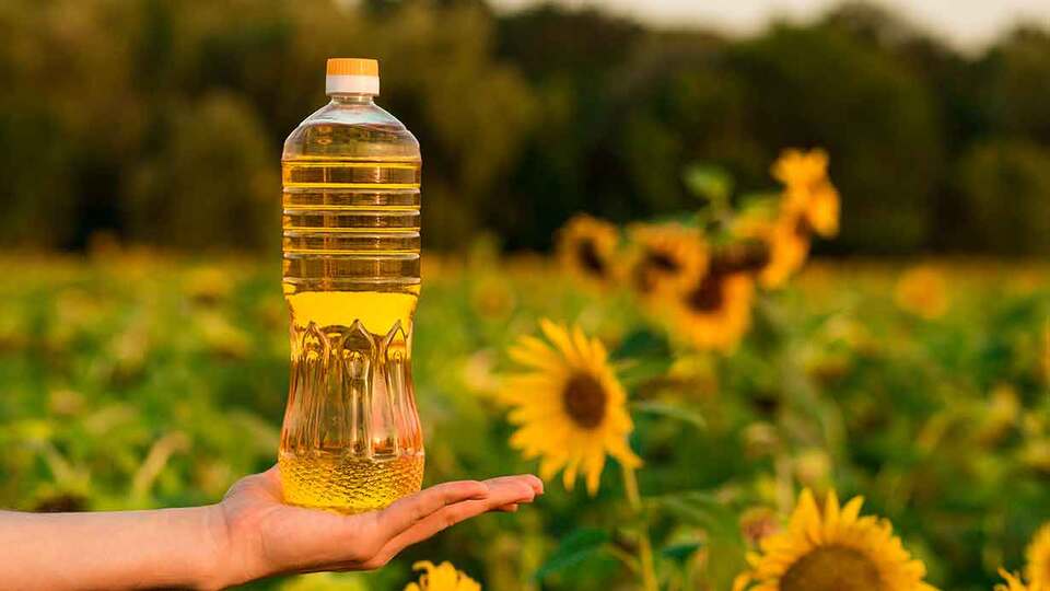 Rusya'dan ayçiçeği yağı ihracatına kota