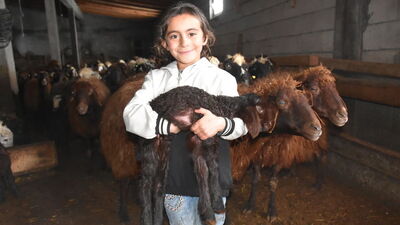 Besicileri sevindirdi! Çocuk gibi besleniyorlar