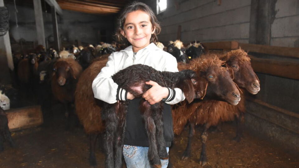 Besicileri sevindirdi! Çocuk gibi besleniyorlar