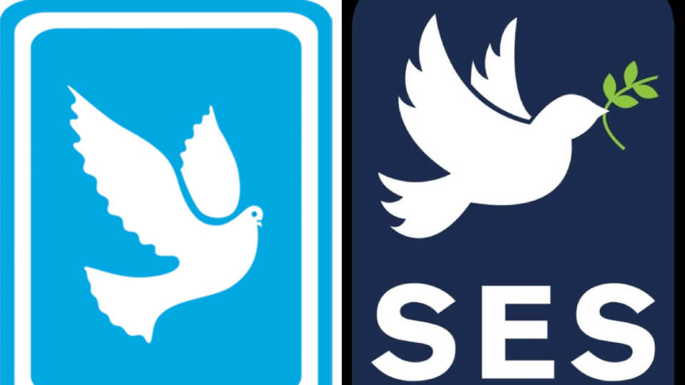 Güvercin polemiği! Yasal süreç başlıyor