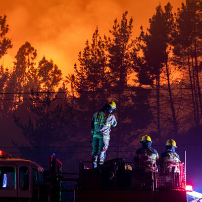 Yangın ekolojisi uzmanı: Büyük orman yangın çağına girmiş durumdayız