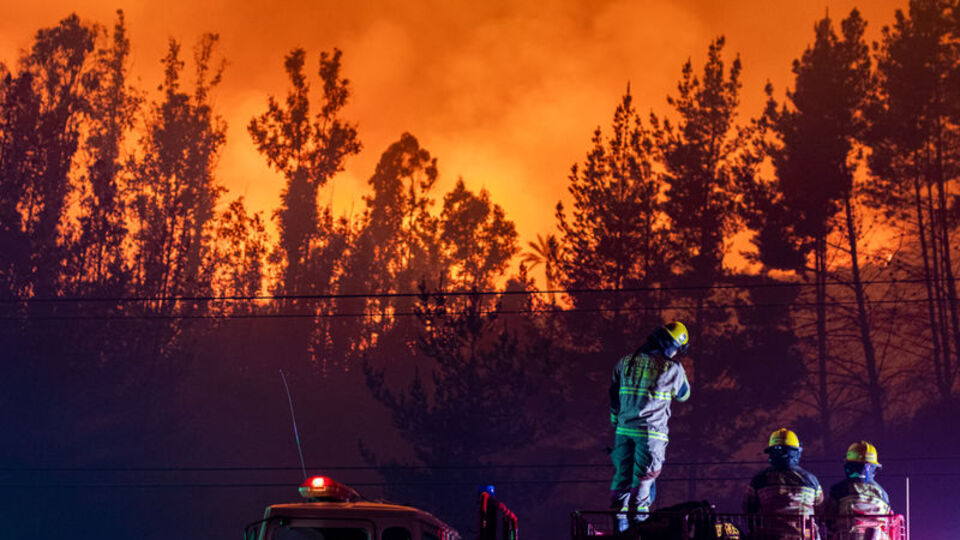 Yangın ekolojisi uzmanı: Büyük orman yangın çağına girmiş durumdayız
