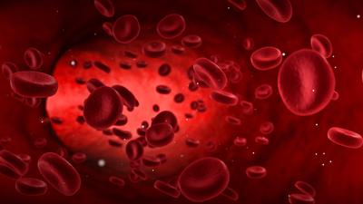 İnsan kanında plastik görülmesi ne anlama geliyor?