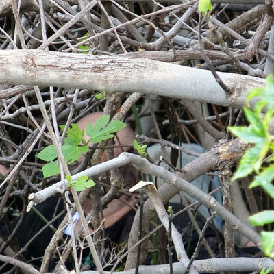 20 metrelik kanyona düştü! Polisi şaşırttı!