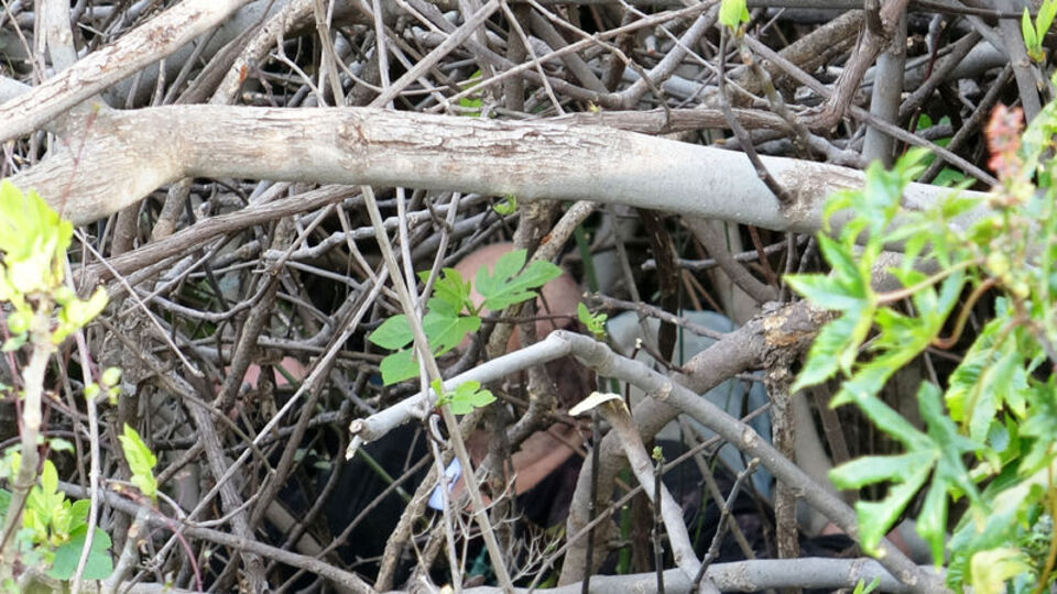 20 metrelik kanyona düştü! Polisi şaşırttı!