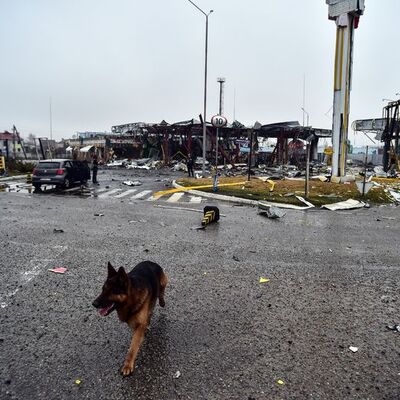 Ukrayna: Kiev'in tamamı işgalden kurtarıldı