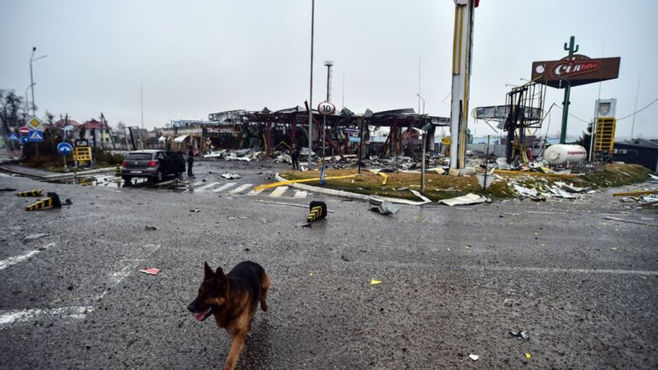 Ukrayna: Kiev'in tamamı işgalden kurtarıldı