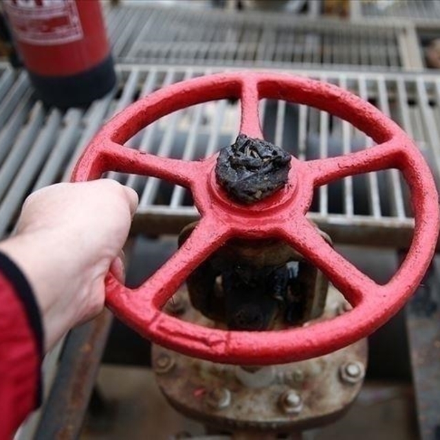 Litvanya, Rusya'dan doğal gaz alımını durdurdu