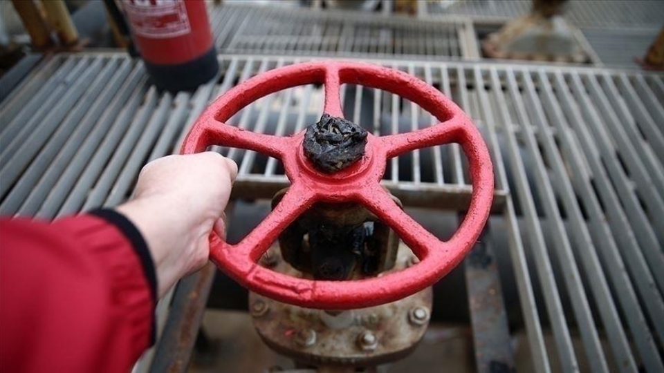 Litvanya, Rusya'dan doğal gaz alımını durdurdu