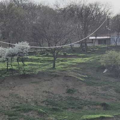 Bilge ve oğlunun ölümünde korkunç sözler!