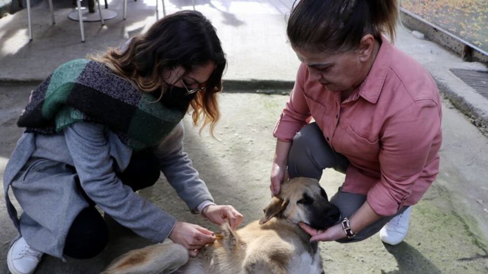 Gençlik hastalığına yakalanan Badem'e kucak açtı