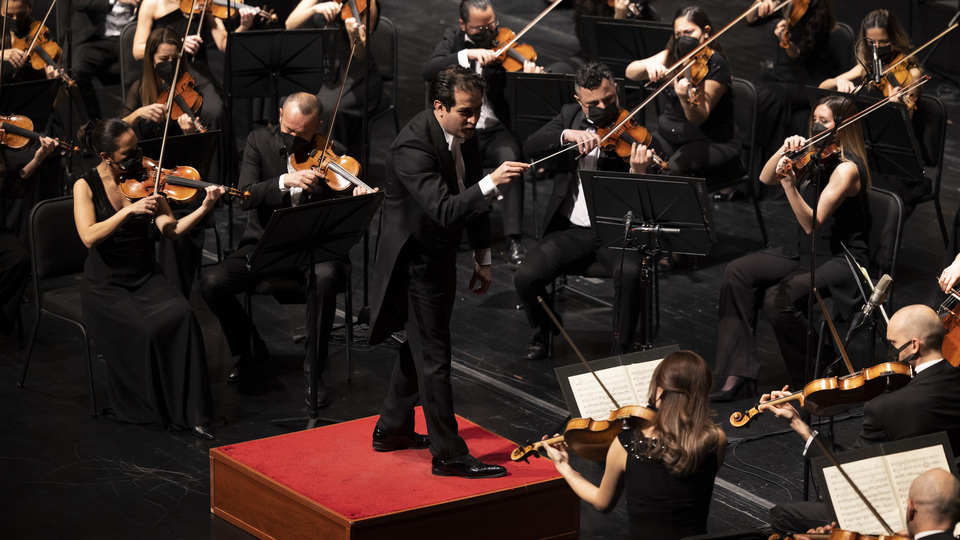 'Piyanonun Kanatları Altında' bir konser