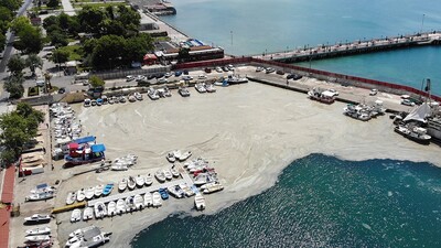 Bilim insanlarından acil çağrı: Marmara Denizi daha kötü durumda