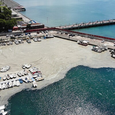 Bilim insanlarından acil çağrı: Marmara Denizi daha kötü durumda