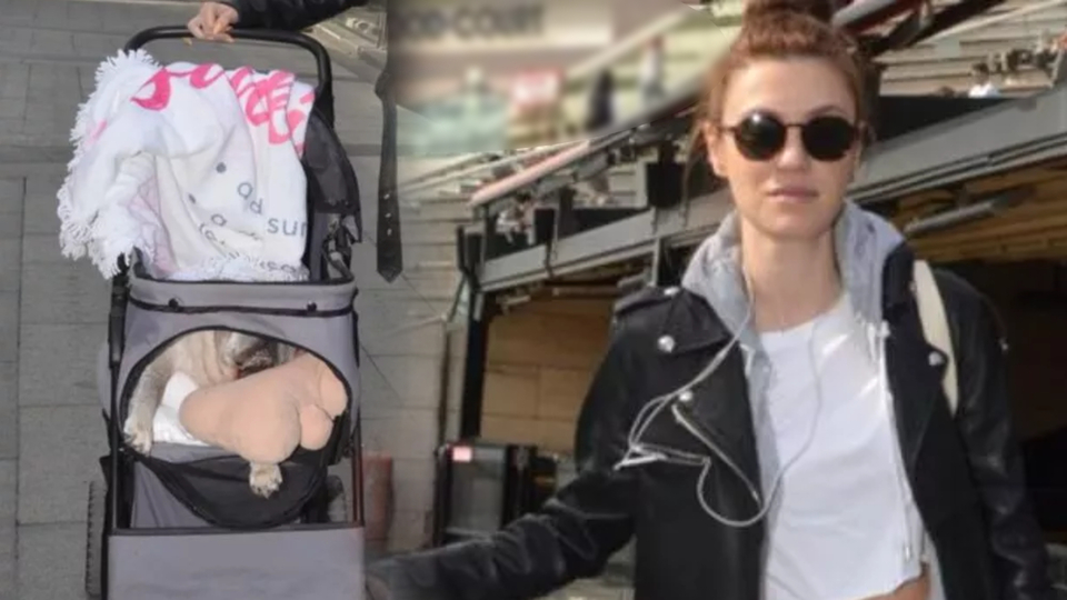 Köpeğini bebek arabasında gezdirdi!