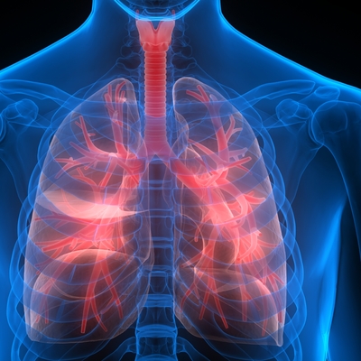 İnsan kanında tespit edilmişti! Şimdi de akciğerlerde