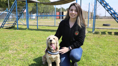 Süs köpeğiydi, 'hassas burun' oldu