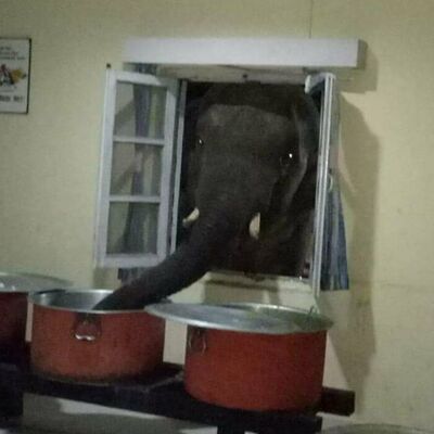 Tam zamanında yakalandılar... Fenomen oldular