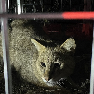 Takibe alınmaya başlandı... Türkiye'de ikinci
