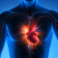 Günde 9 bin litre kanı vücuda pompalıyor... Bu 12 risk faktörüne dikkat!