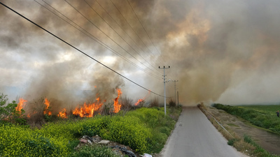 Antalya'da panik anları! Güçlükle söndürüldü