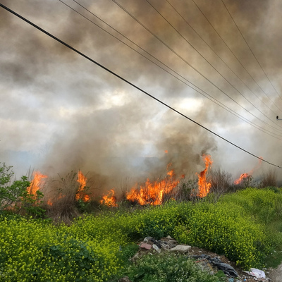 Antalya'da panik anları! Güçlükle söndürüldü