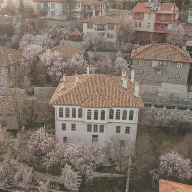 Akseki, çiçek açan meyve ağaçlarıyla renklendi
