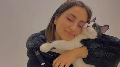 Kargoya verdiği kedisi yok oldu!