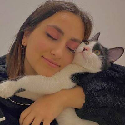 Kargoya verdiği kedisi yok oldu!