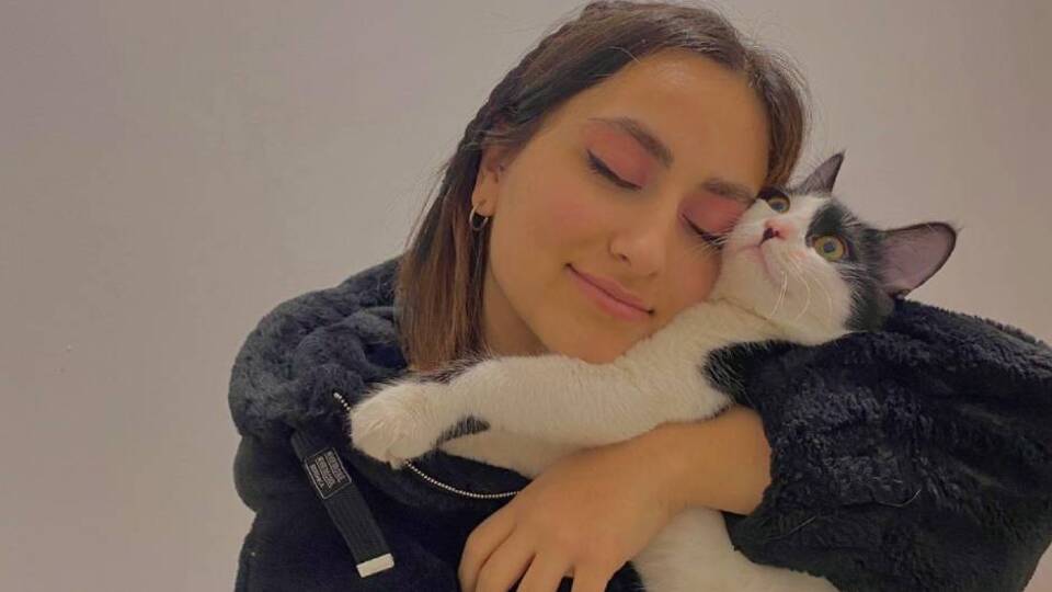 Kargoya verdiği kedisi yok oldu!