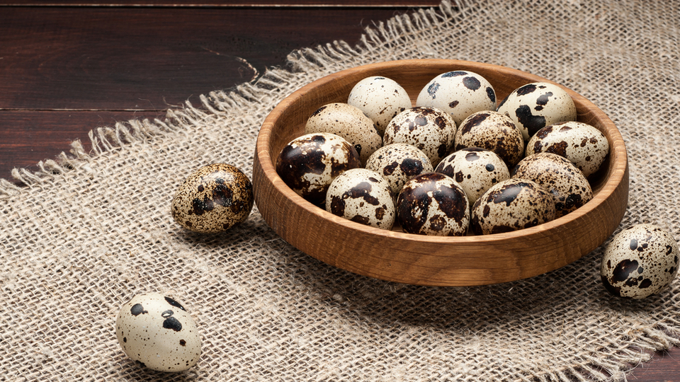 Bıldırcın yumurtasının faydaları