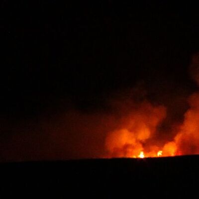 Koruma altında bulunan Göksu Deltası'nda yangın