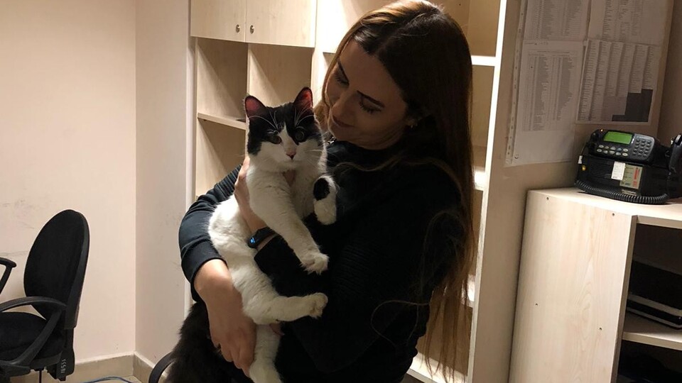 Kargoda kaybolan kediden sevindiren haber!