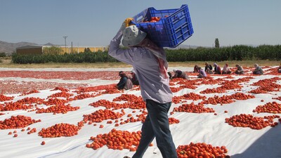 Sezonluk çalışanların tazminat hakkı