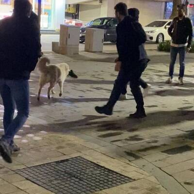 Gülümseten anlar... Önce çaldı, sonra kaçtı